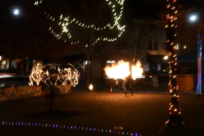 DSC_6712 (Large).JPG